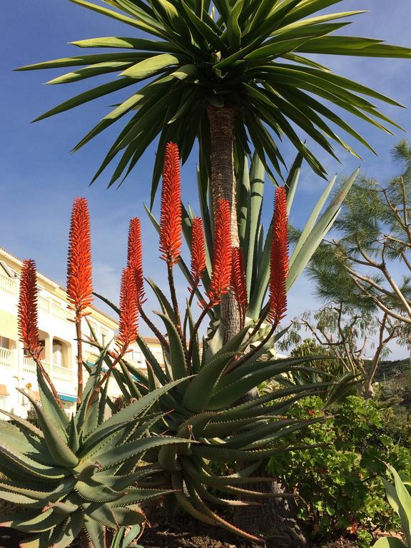 Residentie Montesol Lägenhet Torrox Exteriör bild